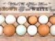 brown vs white eggs