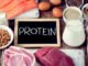 protein for weight loss